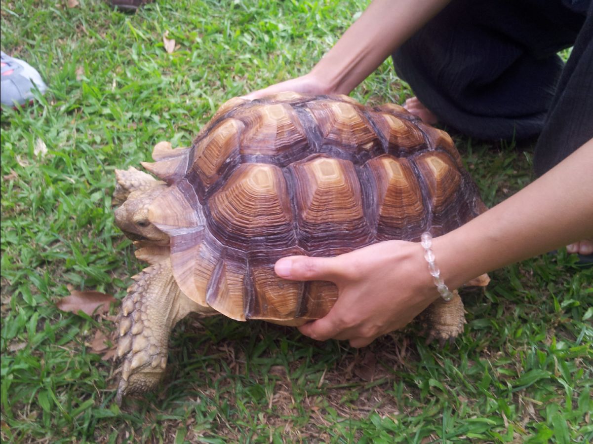 20100715Organic Farm07